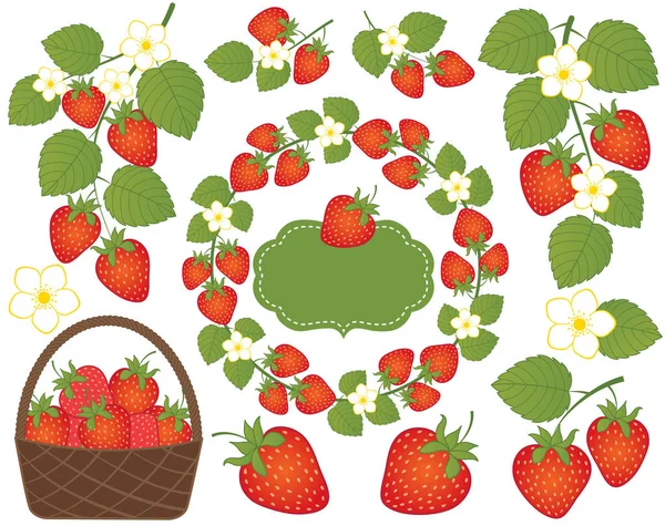 Conjunto de fresas vectoriales incluido cesta, corona, marco y flores Vector fresa . — Vector de stock