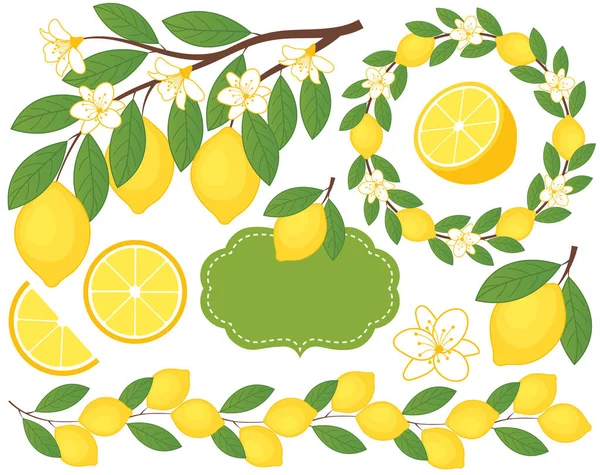 Ensemble vectoriel aux citrons. Illustration vectorielle de citron . — Image vectorielle