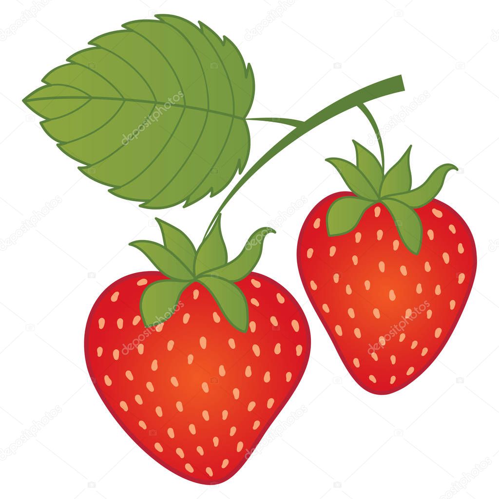 Vetor de morangos. Vetor de morango — Vetor de Stock © marlenes9 #158284778