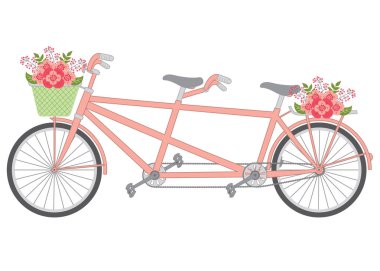 Pastel çiçek ile vektör Tandem. Çiçek sepeti vektör çizim ile tandem. 