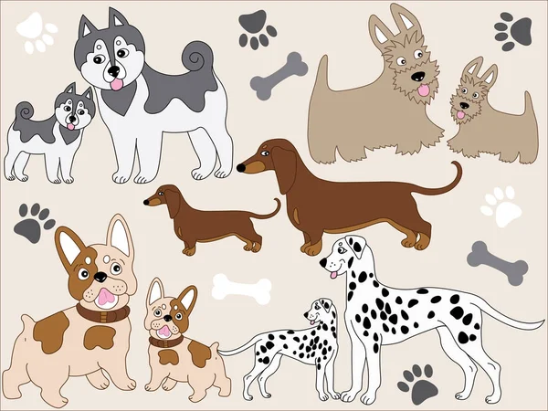 Vektor kutyák-val Husky kölykök - skót Terrier, Francia Bulldog, tacskó, dalmát. Kutyák vektoros illusztráció. — Stock Vector