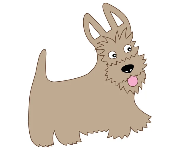 Vettore carino cartone animato Scottish Terrier. Illustrazione vettoriale del terrier scozzese . — Vettoriale Stock