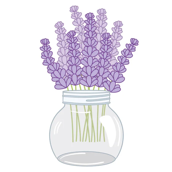 Vector lavendel boeket in glazen pot — Stockvector