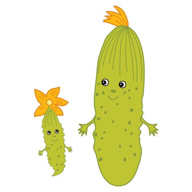 Vektör karikatür salatalık