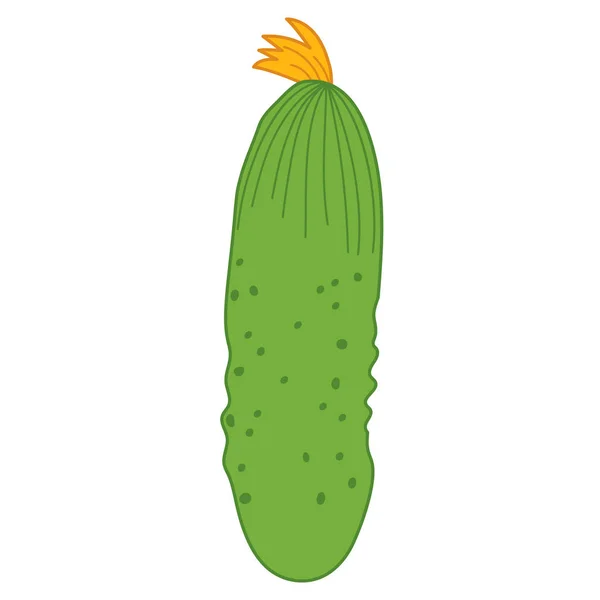 Vector pepino verde — Vector de stock