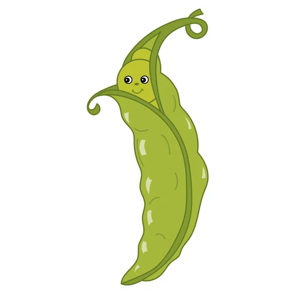 Vector Cartoon Green Peas in Pod - Stok Vektor