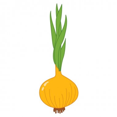 Vektör sarı ve yeşil soğan 