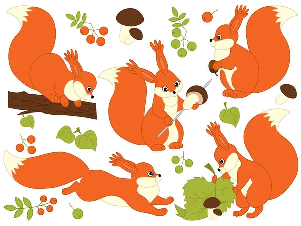 Vector Set van Cute Cartoon eekhoorns — Stockvector