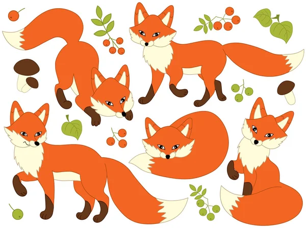 Vector Set of Cute Cartoon Foxes — Stock Vector