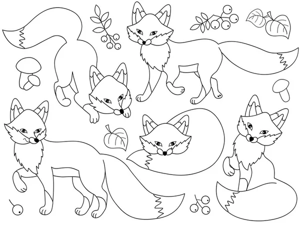 Vector Set of Cute Cartoon Foxes — Stock Vector