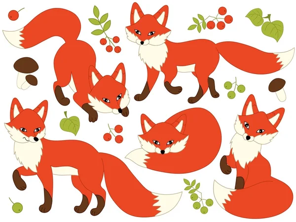 向量集的可爱的卡通狐狸 — 图库矢量图片