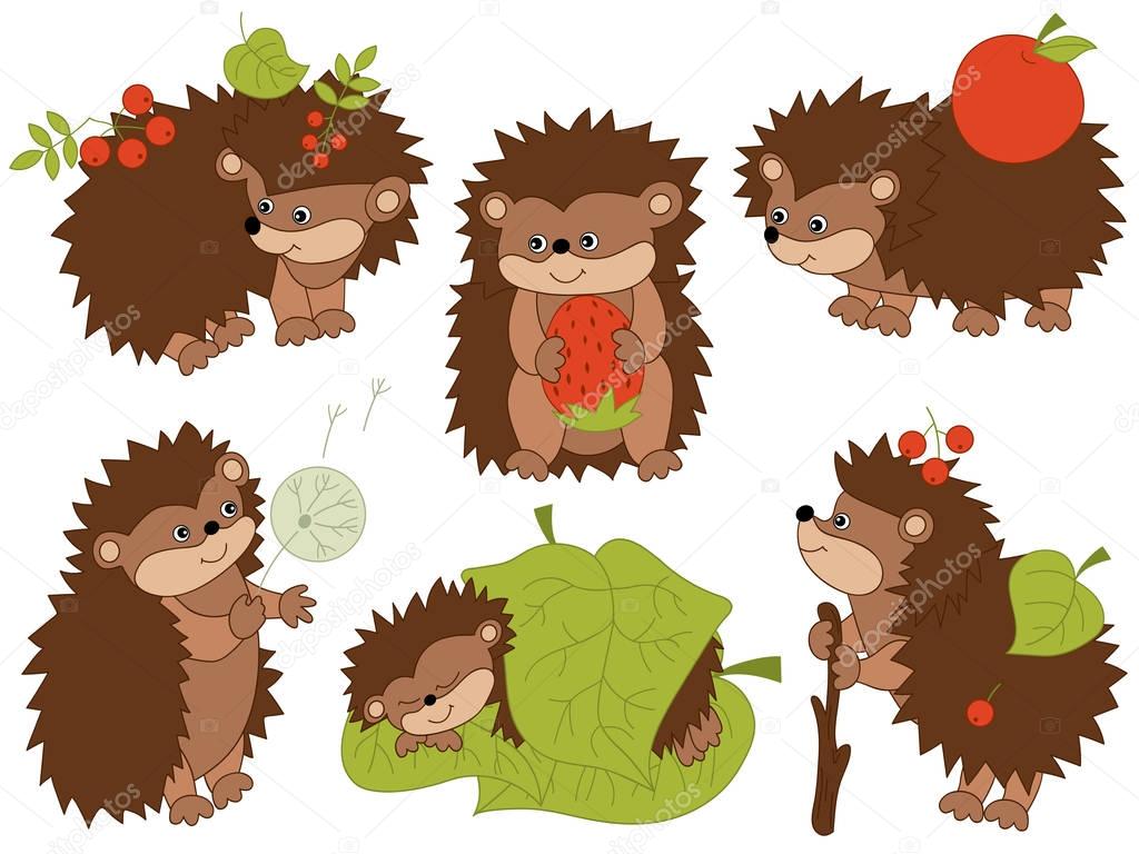 Vector Set of Cute Cartoon Hedgehogs