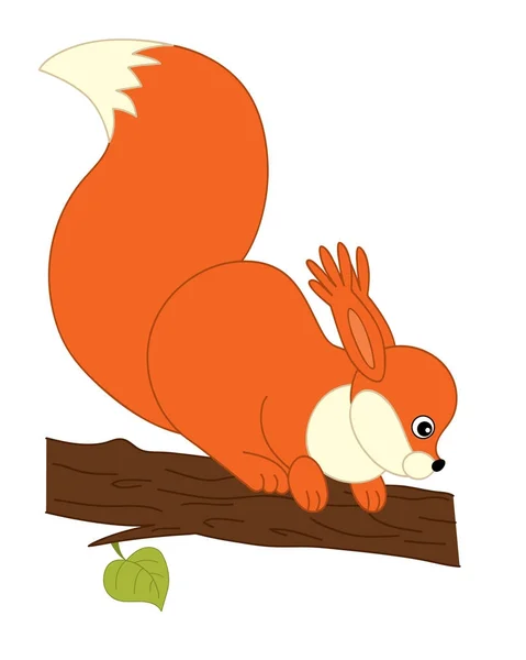 Vector Cute Cartoon eekhoorn — Stockvector