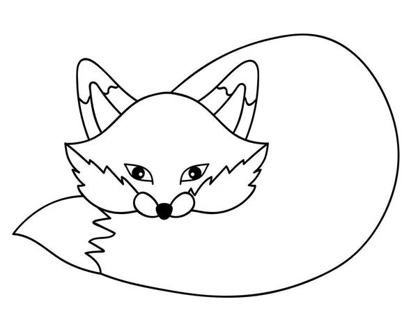 Vektör sevimli çizgi Fox — Stok Vektör