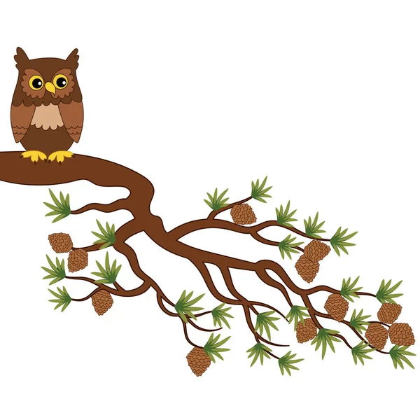 Vector Cute Owl on Pine Tree Branch — Stock Vector