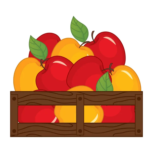 Vetor maçãs vermelhas e amarelas em caixa de madeira — Vetor de Stock