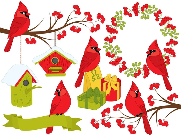 Vector de Navidad y Año Nuevo con cardenales y elementos de invierno — Archivo Imágenes Vectoriales