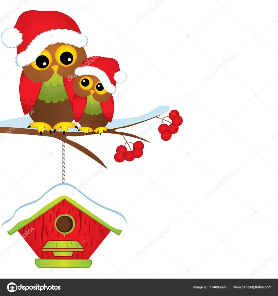 Vector Cute Christmas Owls In Red Hats Sitting On Tree Branch