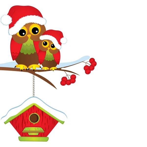 Vector Lindos búhos de Navidad en sombreros rojos sentados en la rama del árbol — Archivo Imágenes Vectoriales