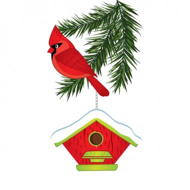 Vektör Kardinal, çam ağacı dalı ve kuş yuvası