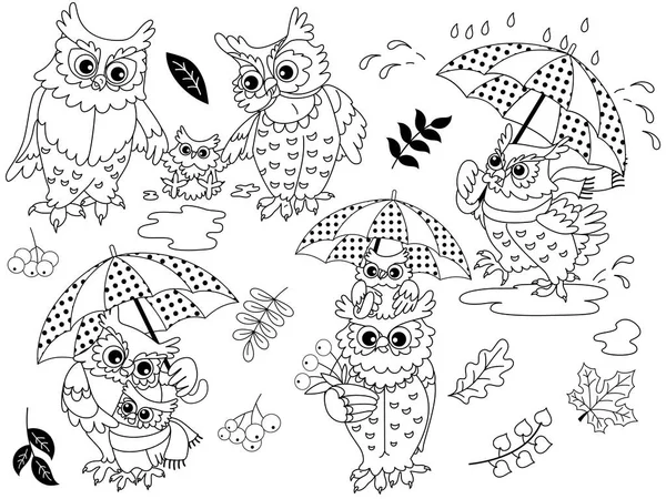 Vector Set van Cute Cartoon uilen, herfst bladeren en bessen — Stockvector