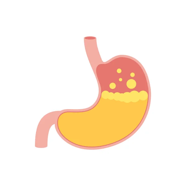 Icona dello stomaco umano — Vettoriale Stock