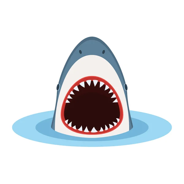 Shark with open mouth — Stock Vector