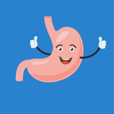 Komik mutlu mide karakteri baş parmağını kaldırdı. İnsan iç organı işareti. Çizgi film tarzında vektör illüstrasyonu