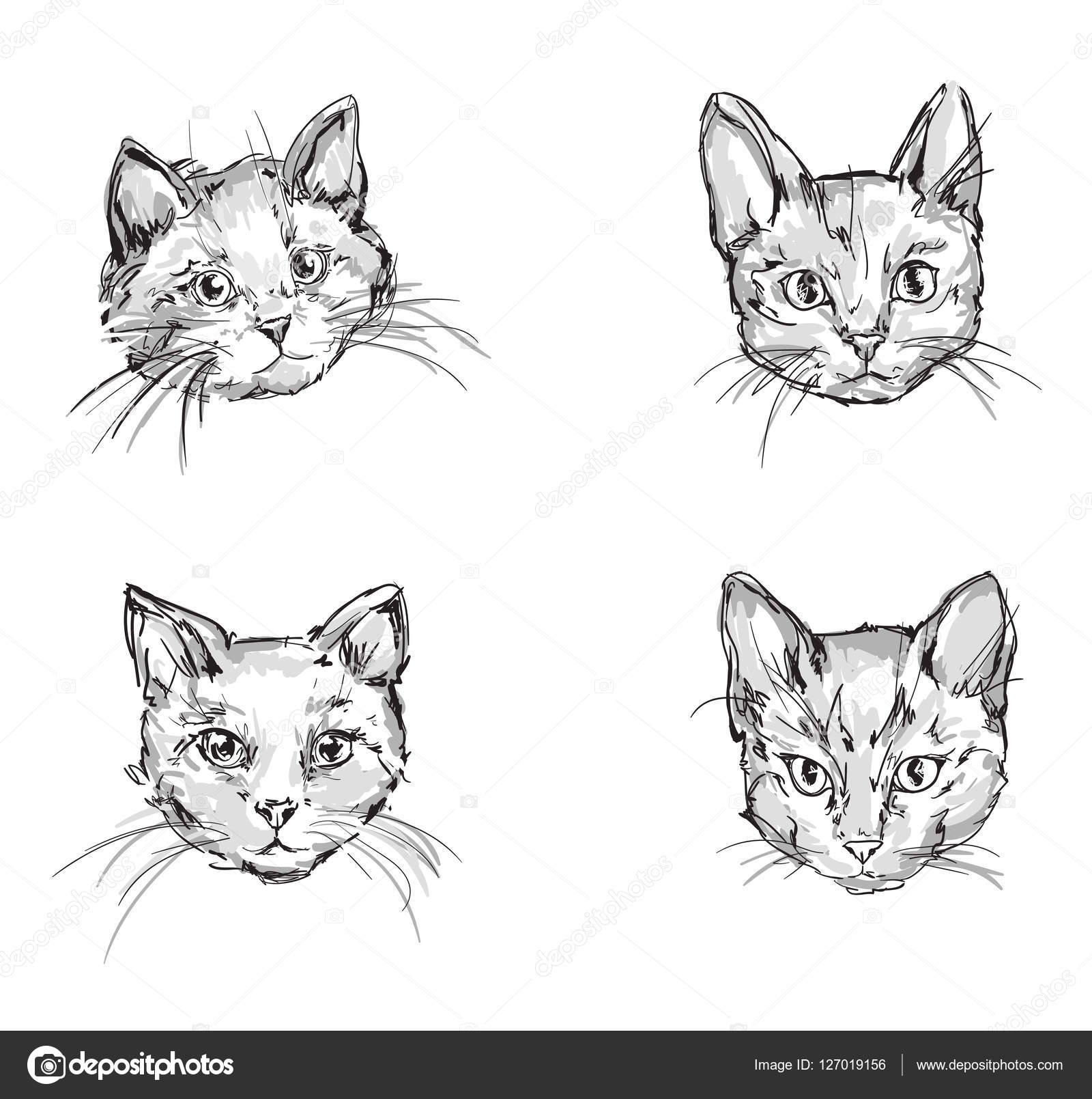 Cute Cat Head Sketches Stock Vektor C Alsoush