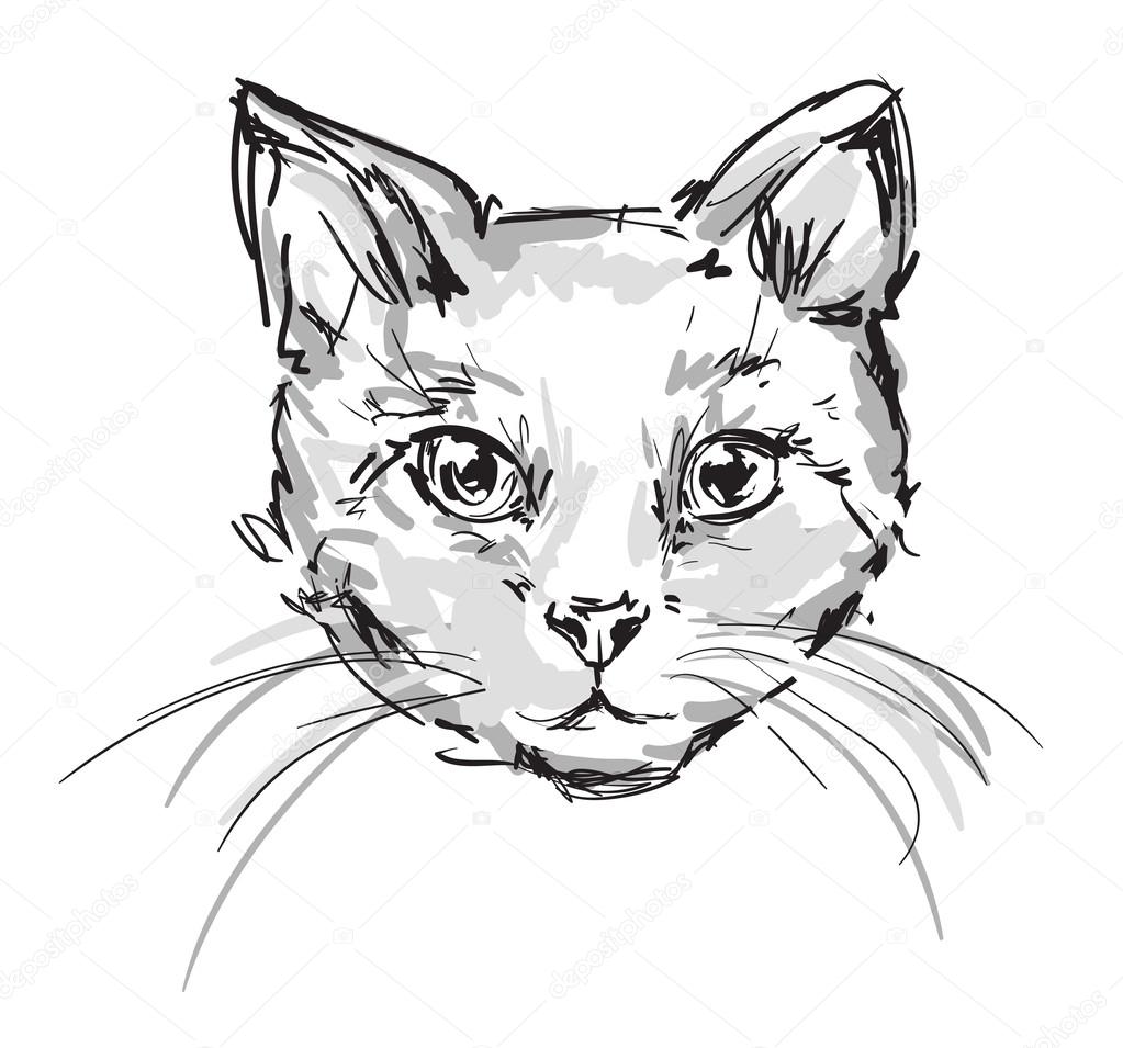 Cute Cat Head Sketch Stock Vector Alsoush 127018112