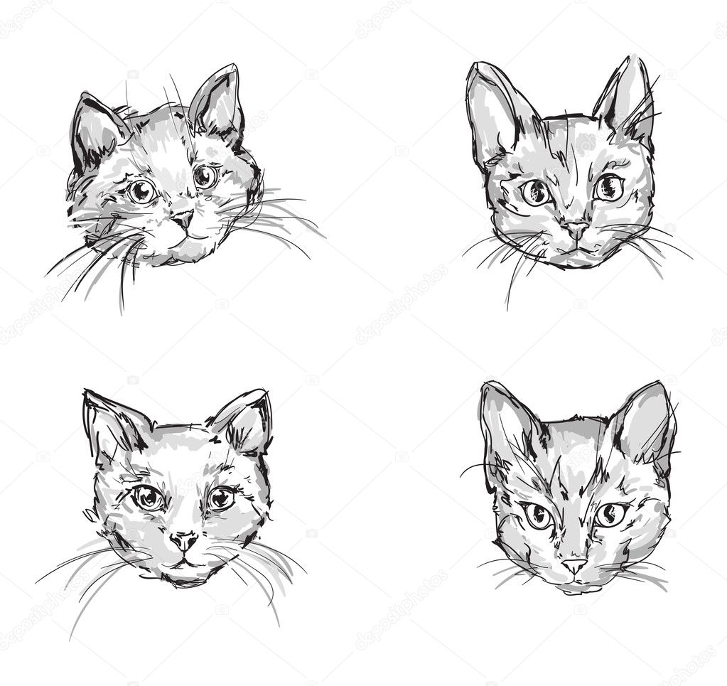 Schizzi di testa di gatto sveglio illustrazione vettoriale disegno stampa gatto — Vettoriali di AlsouSh