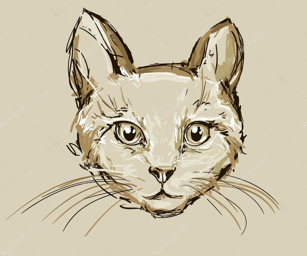 Kedi kafa çizimi — Stok Vektör © AlsouSh 127020074