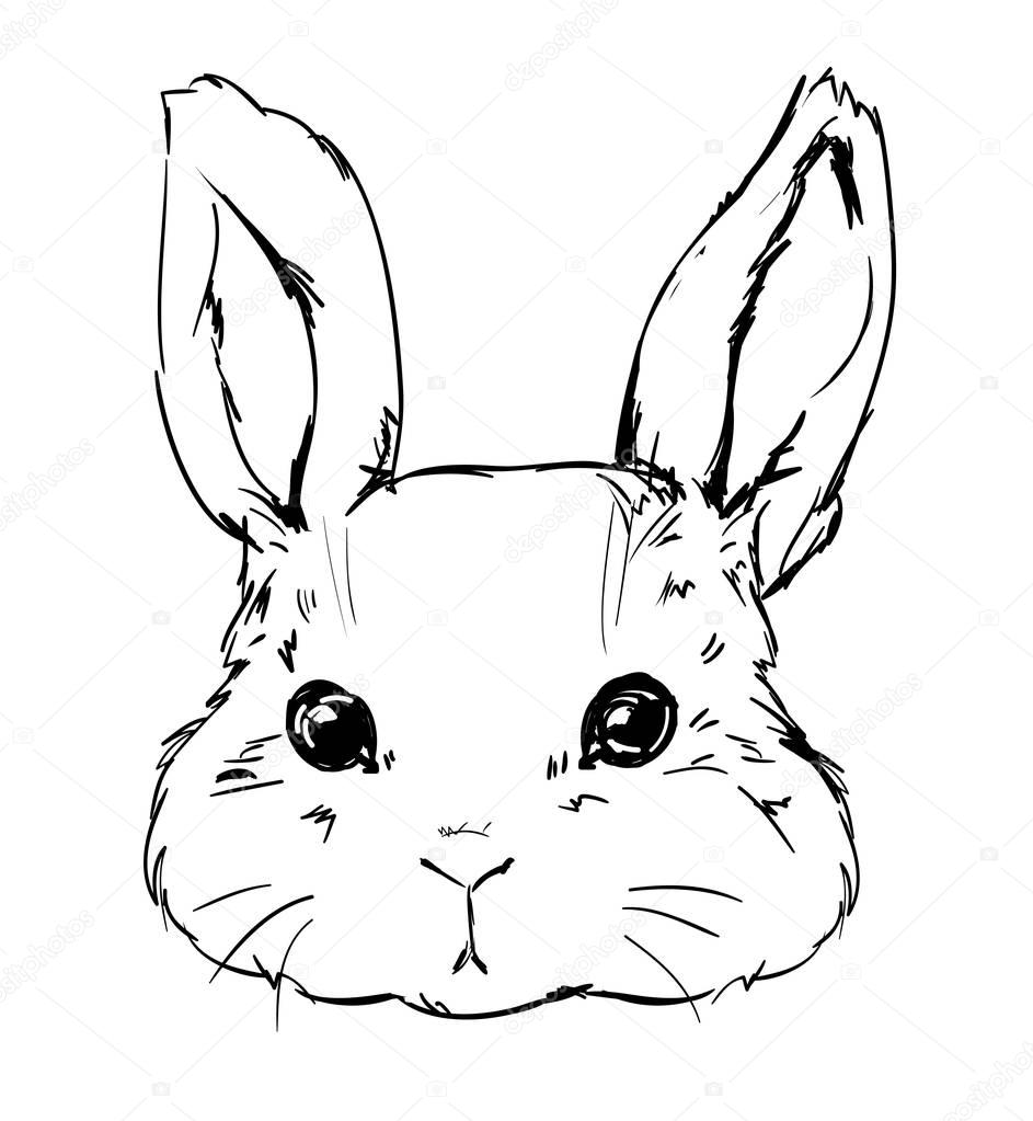 手描きかわいいバニー ストックベクター C Alsoush