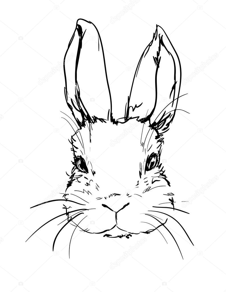 Simple Sketch Rabbit Drawing Ears Up for Girl
