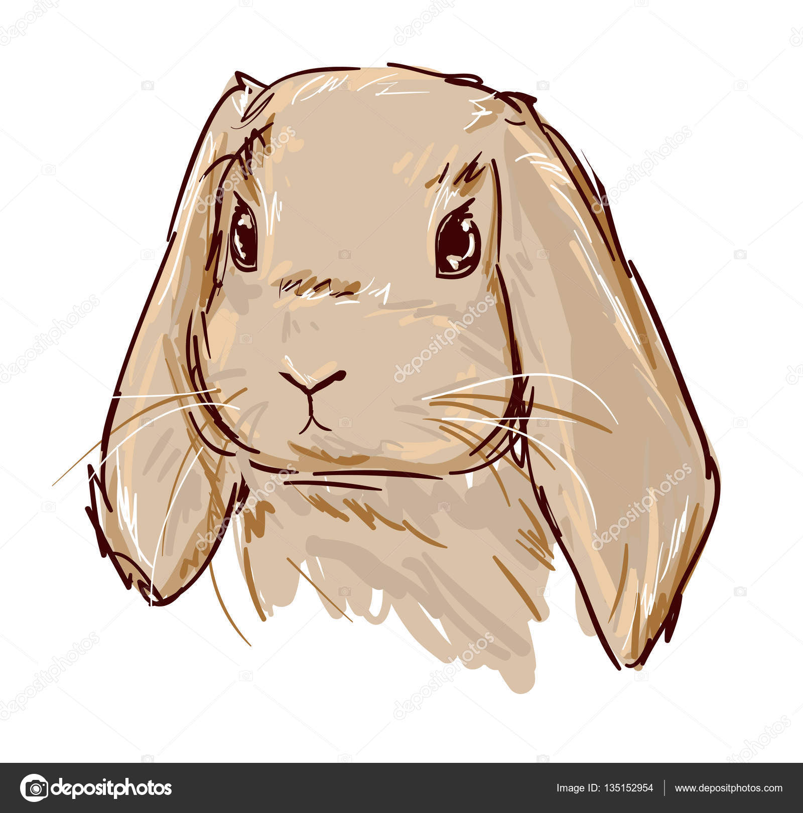 手描きかわいいバニー ストックベクター C Alsoush 手描きかわいいバニー ストックベクター C Alsoush