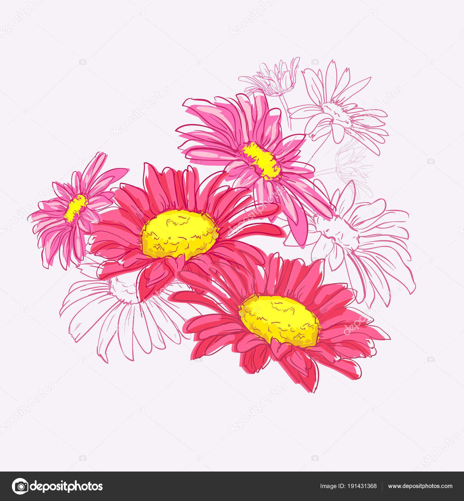 Dessin Fleurs Daisy Colorées Sur Fond Gris Image