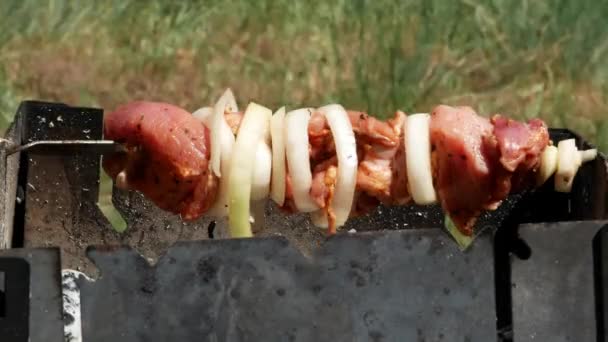 Grillen leckeres Fleisch grillen 4k — Stockvideo