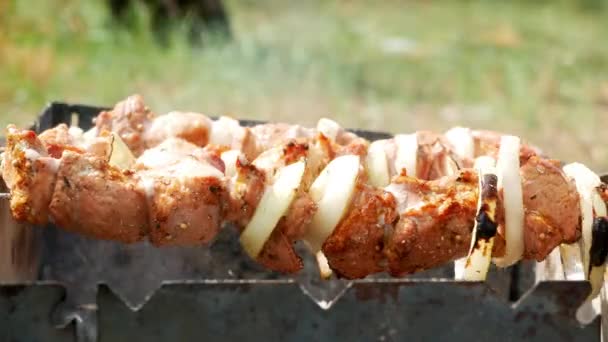 Barbacoa carne deliciosa barbacoa 4k — Vídeos de Stock