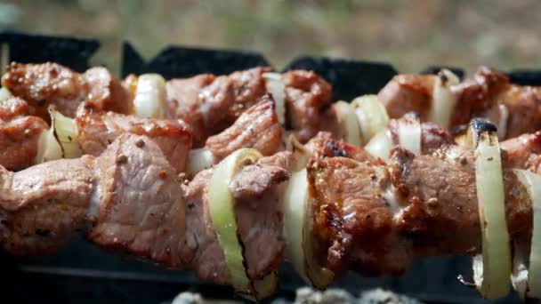 Барбекю вкусное мясо барбекю 4k — стоковое видео