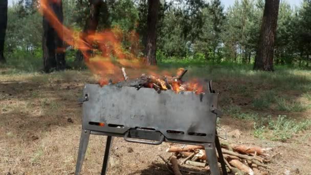 Parrilla de barbacoa brasero en el bosque 4k — Vídeo de stock