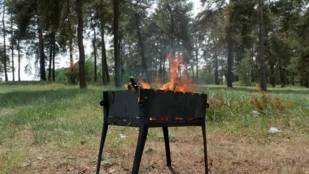 Barbecue brasero en forêt 4k — Video