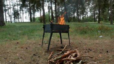 4k ormanda mangal barbekü ızgarası