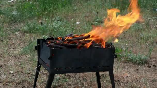 4k ormanda mangal barbekü ızgarası — Stok video
