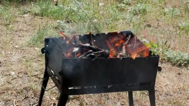 Brazier Μπάρμπεκιου Γκριλ στο δάσος 4k — Αρχείο Βίντεο