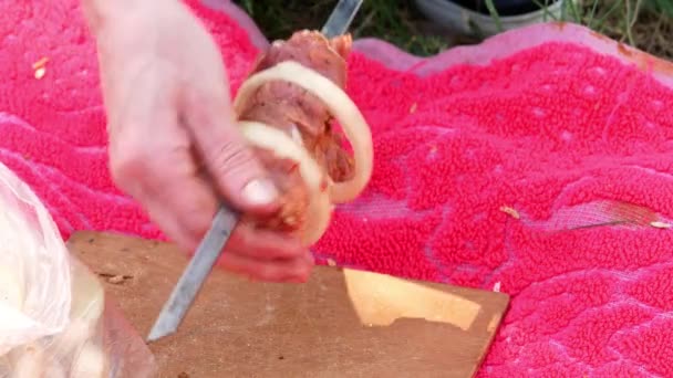 Taze et, kebap, Barbekü piknik 4k ızgara, kızartma — Stok video