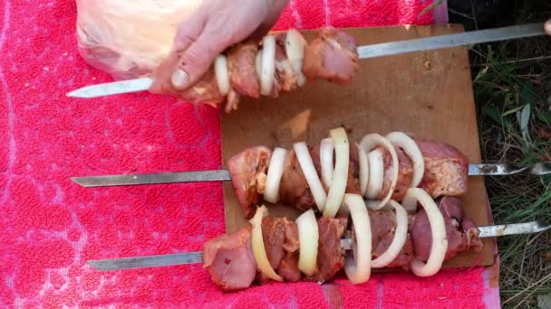 Steka färska kött, Kebab, Bbq på picknick 4k Grill — Stockvideo