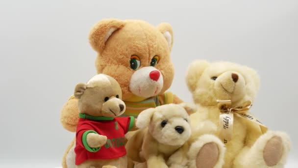 Teddybär auf weißem Hintergrund 4k — Stockvideo