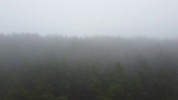 Silné lesní mlha letecké drone pohled — Stock video