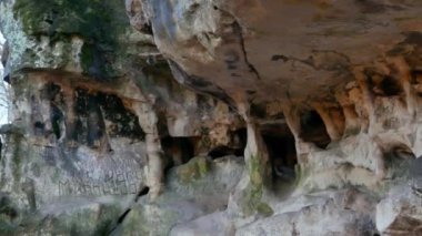 Ormandaki mağara mağarası.