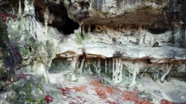 A barlang Grotto az erdőben — Stock videók